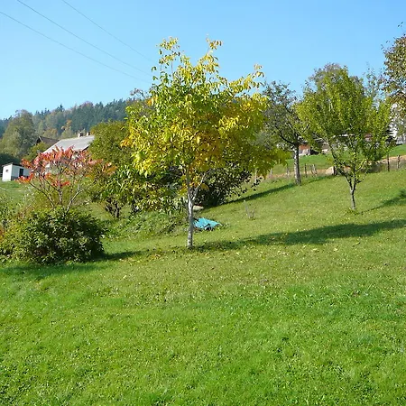 Hlava *
