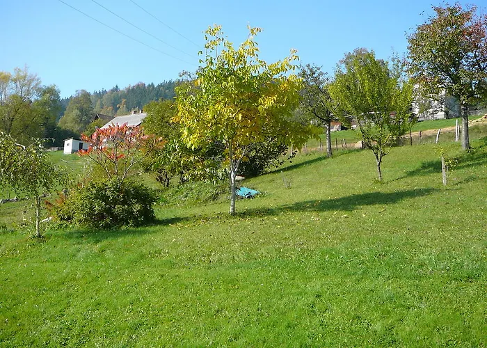 Hlava *