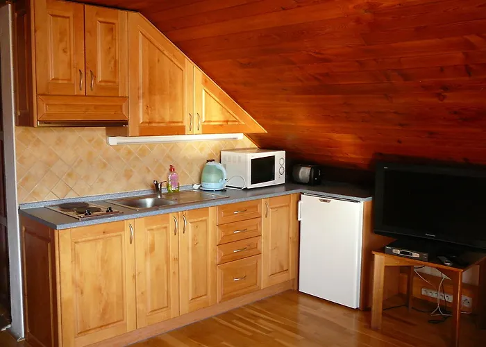 Apartment Hlava *