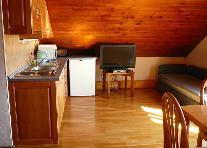 Apartment Hlava *